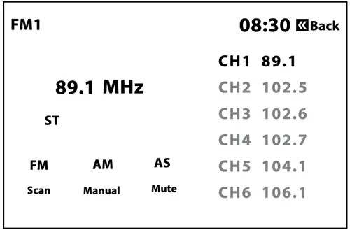 صفحه رادیو FM1 مانیتور دنا پلاس