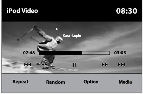 صفحه پخش iPod Video دنا پلاس