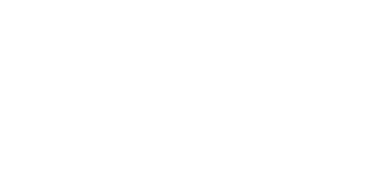 alternative text for image