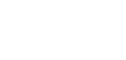alternative text for image